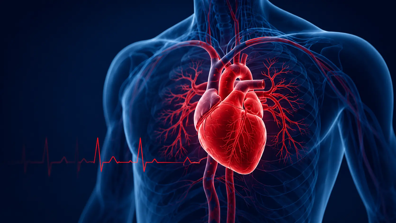 Journal of Clinical Cardiovascular Research